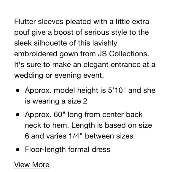 Flutter Sleeve Embroidered Gown - BLUSH with Navy Blue Lining - Picture 6 of 13